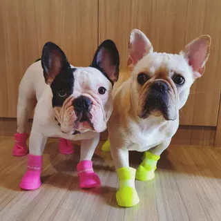 Botas Impermeáveis Protetoras Para Cães Sapatos De Chuva Antiderrapantes