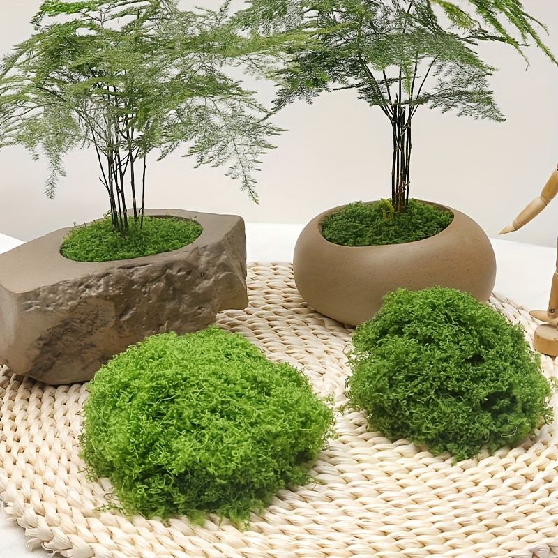Musgo Falso Artificial 1,05 oz Simulação Criativa Micro Paisagem Capim ...