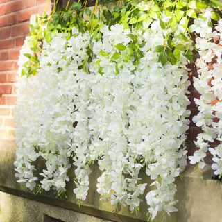 24 peças (Total de 86.4 pés) glicínias falsas artificiais penduradas guirlanda corda de flor de seda