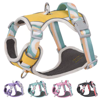 Arreios Para Cães Comfort-Fit & Secure : Colete Pesados Caminhadas Fáceis Com Médios/Grandes-Manutenção Durável E Simples