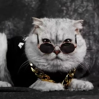 Óculos Para Animais De Estimação mini Gato De Sol Cão De Pelúcia retro Bonito Acessórios Foto Adereços