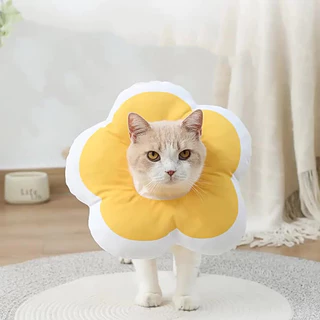 Gato chapelaria Elizabeth colar beleza banho Anti-lamber Anti-risco mordida esterilização colar gato sol flor colar