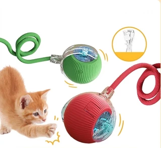 Bola Interativa Dos Brinquedos Do Gato , Brinquedo Elétrico Exercício Automático Animal De Estimação Cão Para Cães Peque