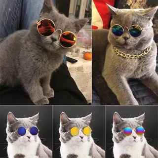 Óculos de sol para cães e gatos, cores diferentes e estilos divertidos