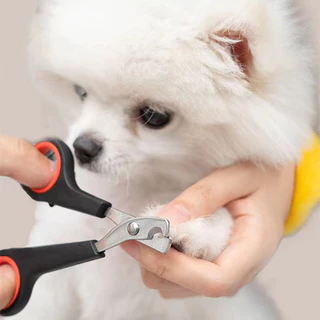 Cortador de unhas para animais de estimação, cortador de unhas para cães de estimação, ferramenta útil, tesoura para gat
