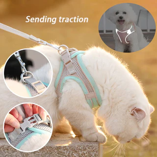 Coleira de peito para cachorro, coleira para cães e gatos, colete para animais de estimação com trela, rede de Nylon