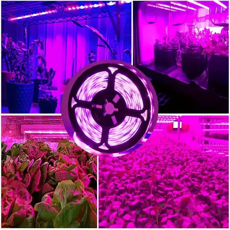 2835 1 /3 /5m Luz de crescimento de plantas LED Interface USB Fita de luz de plantas de espectro total Adequada para flores Suculentas
