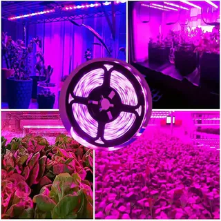 2835 1 /3 /5m Luz de crescimento de plantas LED Interface USB Fita de luz de plantas de espectro total Adequada para flores Suculentas