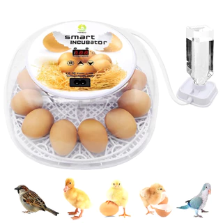 12 Incubadora De Ovos Visão 360 Graus E Com Viragem Automática Controle De Umidade Adicionando Água Para Incubação De Pato Chincken Codorniz Peru