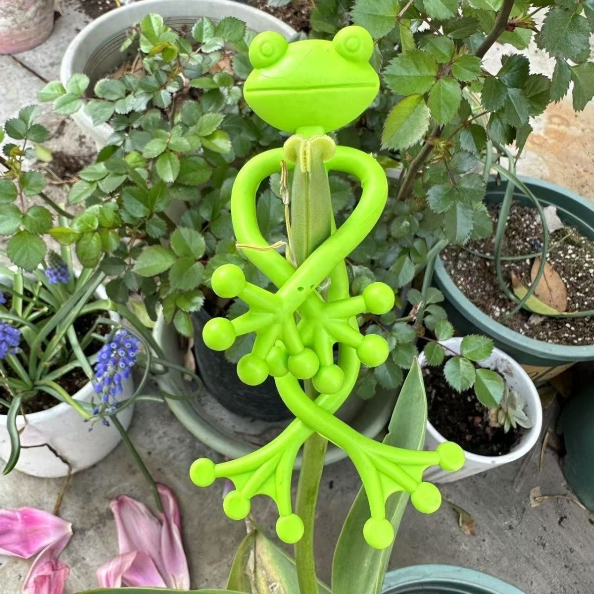 Suporte Para Plantas De Sapo-De Videira De Escalada Verde Fixação