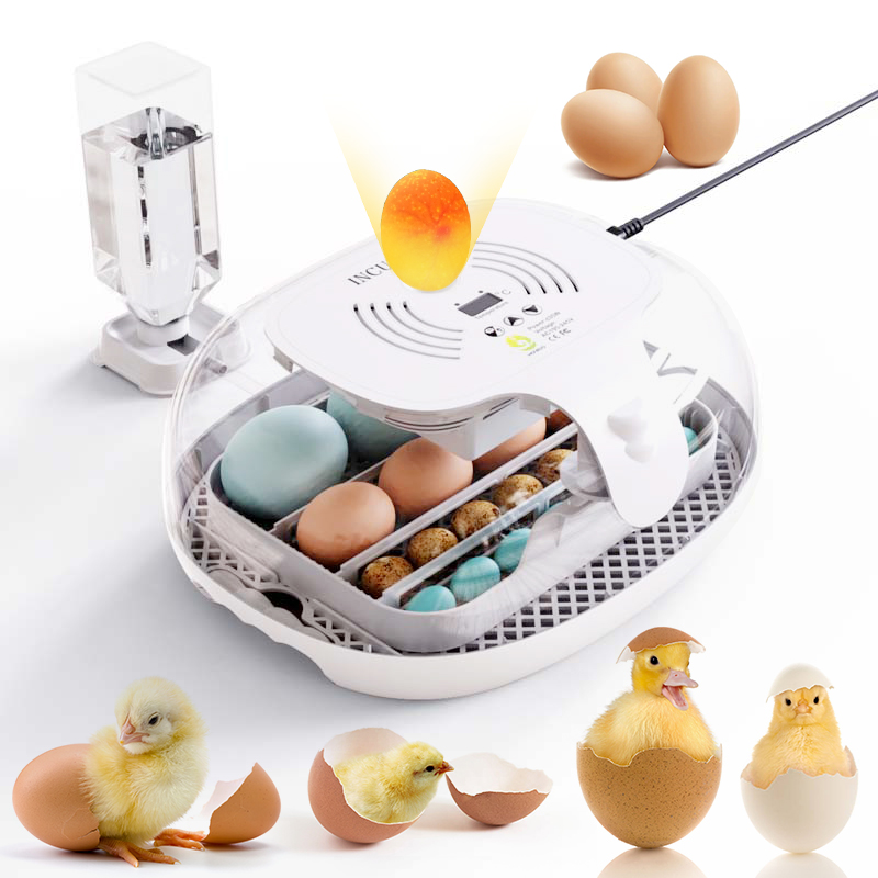 16 Incubadoras De Ovos Com Tela LED De Temperatura De Viragem Automática Vela De Ovo Adição De Água Aves Para Incubação De Codorniz De Pato De Galinha