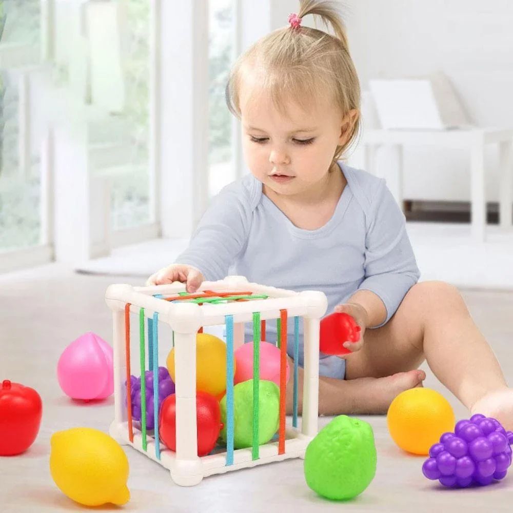 Brinquedos para Bebê 9 Meses: Onde Comprar | BuscaProdutos