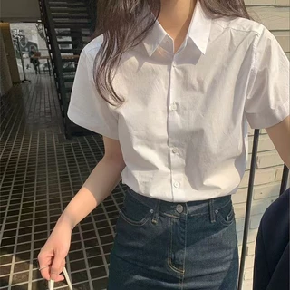 2024 verão novo produto menina gola polo manga curta camisa branca Design feminino sentir nicho versão coreana combinand