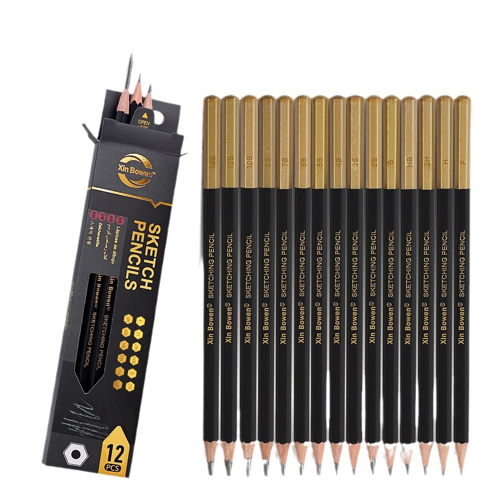 Conjunto Profissional de Lápis de Carvão Vegetal 12Pcs 4mm para Esboço, Sombreamento e Mistura