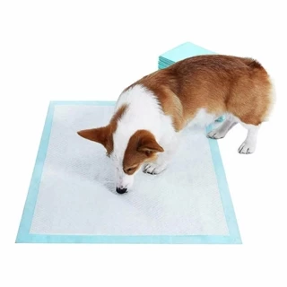 20 Pçs Almofadas De Xixi Do Cão Engrossar Super Absorvente De Secagem Rápida À Prova De Vazamento Treinamento De Toalete