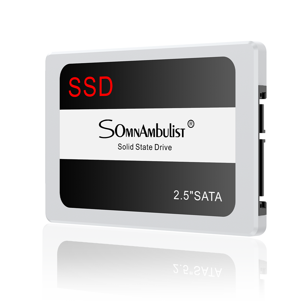 SSD SATA 2,5" Somnambulist 256 GB