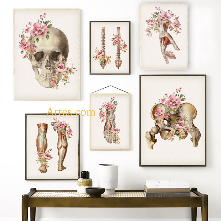 Quadro decorativo anatomia flores Quadro decorativo consultório Quadro decorativo corpo humano flores decoraçã